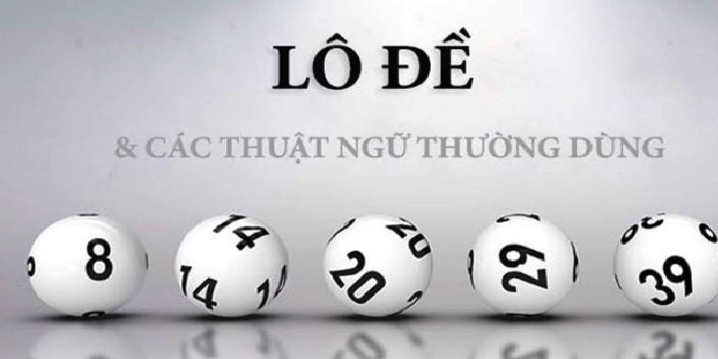 Các thuật ngữ lô đề thường được sử dụng là gì