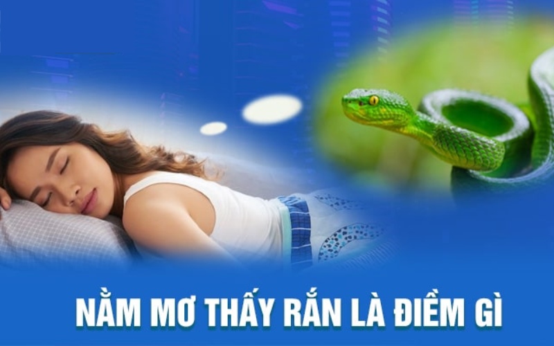 Vậy mơ thấy rắn là điều xấu hay tốt?