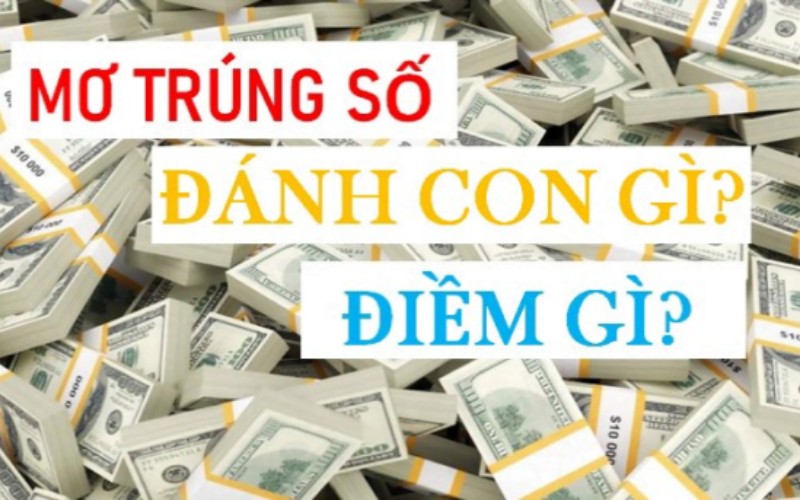 Ngủ mơ thấy trúng số nên đặt các con gì?