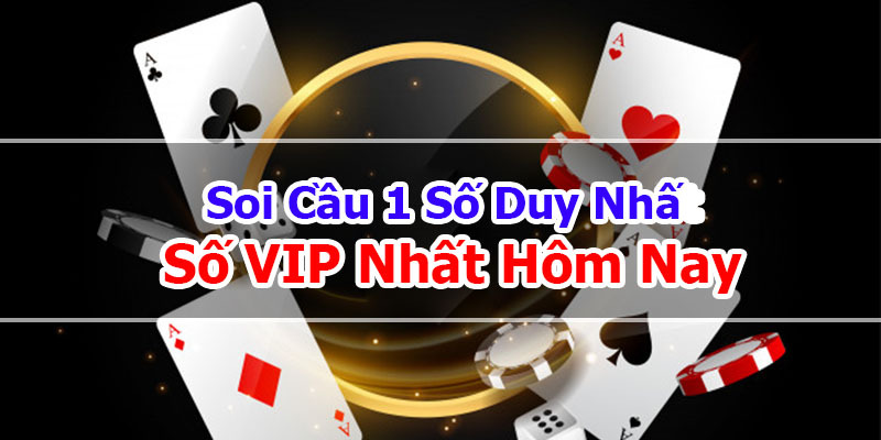 soi-cau-1-so-duy-nhat-anh-dai-dien