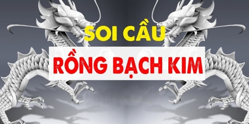 Soi cầu rồng bạch kim là gì