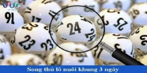 Hướng Dẫn Cách Nuôi Lô Song Thủ Khung 3 Ngày An Toàn Nhất